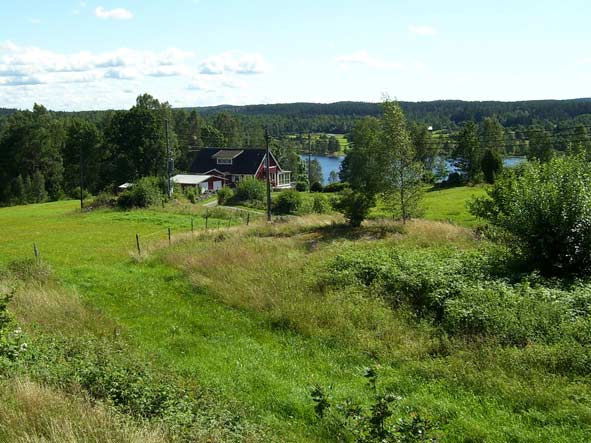 Das Ferienhaus ist in Natur eingebettet